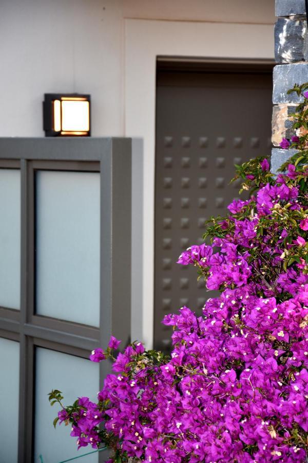 Ελιάδες - Eliades Apartments Karystos  Bagian luar foto